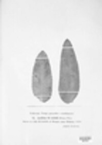 Aecidium sii-latifolii image